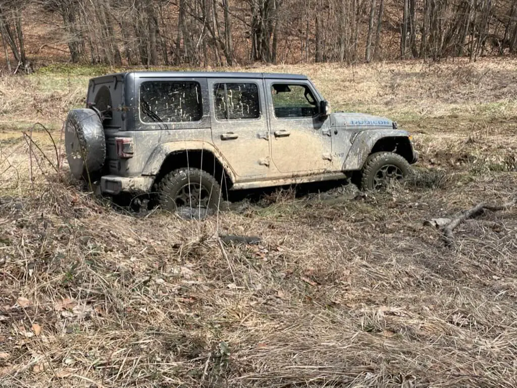 A Jeep Wrangler Rubicon makes its way through tall grass near a forest.