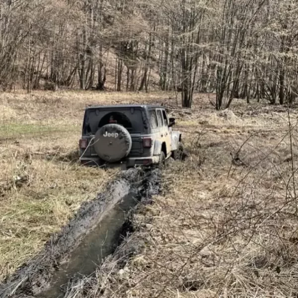 The Jeep makes its way to the forest path through tall grass, bushes and mud.