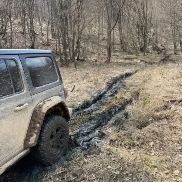 Adventurous drive near the forest, with the vehicle leaving deep,muddy tracks in the path.
