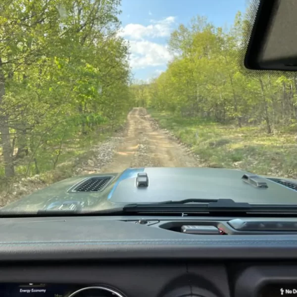 An easy ride in a Jeep along a well-trodden,real forest path.