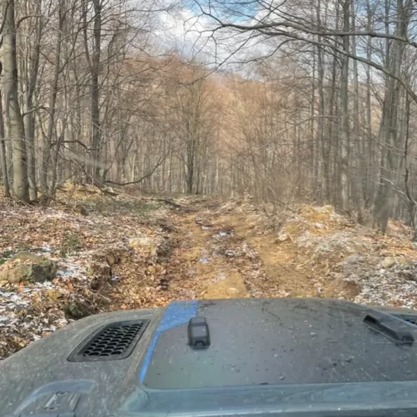 Off-road driving on a well-trodden forest path lightly covered with snow.