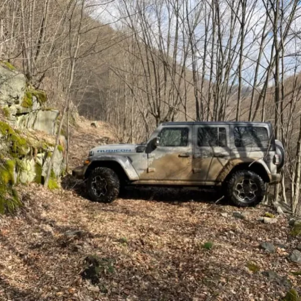 The Jeep turns in the opposite direction,along a narrow forest path.